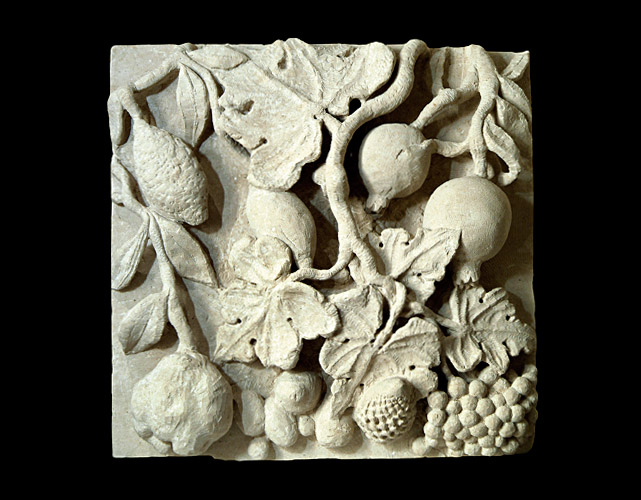pannello-con-frutti-01